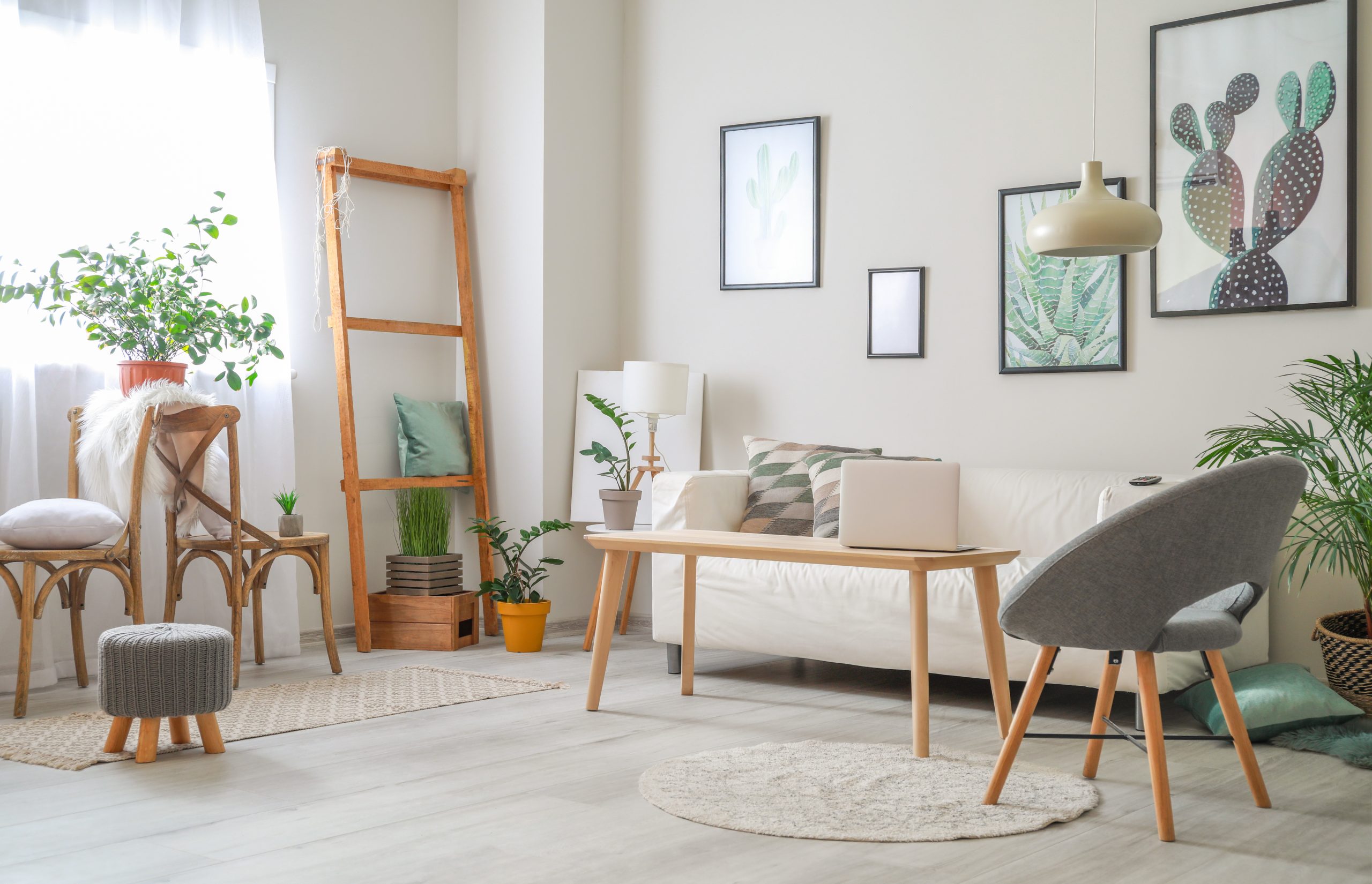 きれいなリビング ルーム